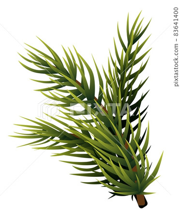 Fir branch. Pine tree needle. Winter symbol 83641400