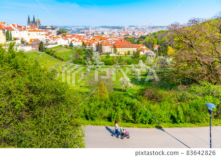 Mother with pram walking in park 83642826