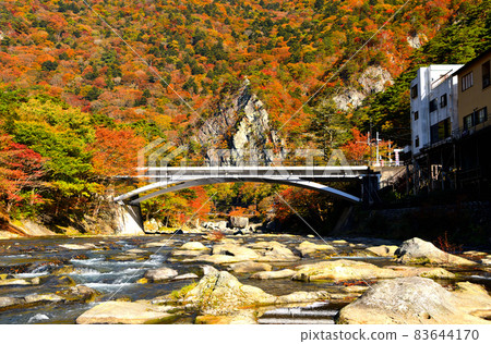 被秋葉染紅的鹽原溫泉、保木川和天貴羽 83644170