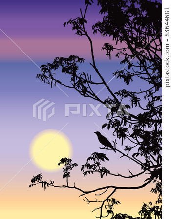 Song of the nightingale Song of the nightingale 83644681