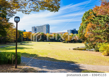 郊區住宅區，秋日陽光公園 83645133