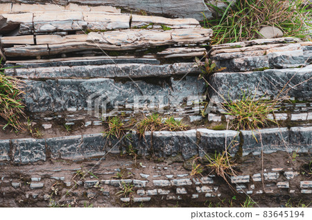 Close-up layered wild stone overgrown with moss, sandstone rock protruding from ground Close-up layered wild stone overgrown with moss, sandstone rock protruding from ground 83645194
