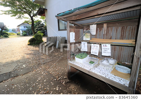 無人蔬菜售樓處 新鮮蔬菜直銷處 安全放心的蔬菜銷售 無人蔬菜售樓處 新鮮蔬菜直銷處 安全放心的蔬菜銷售 83645360