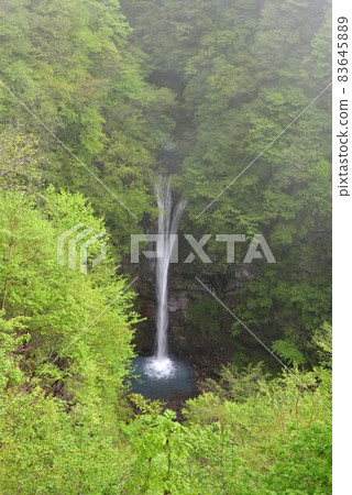 Komadome Falls, Summer, Nasu, Tochigi Komadome Falls, Summer, Nasu, Tochigi 83645889