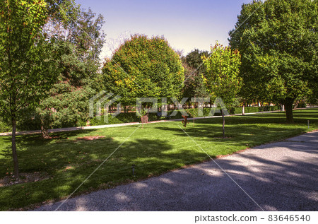Huge shadow falls from large autumn trees growing along the edges of the alley in the Botanical Garden in the suburbs of Tehran Huge shadow falls from large autumn trees growing along the edges of the alley in the Botanical Garden in the suburbs of Tehran 83646540