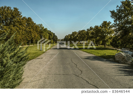 An alley leading to the exit from the Botanical Garden in the suburbs of Tehran on a sunny autumn day. 83646544