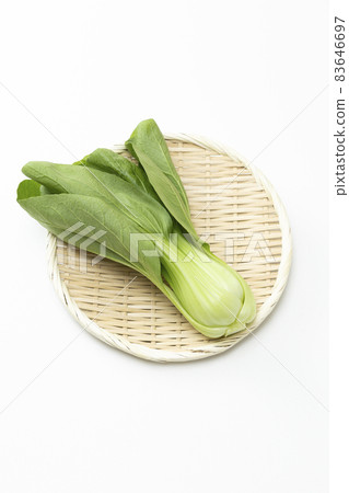 白菜白色背景 83646697