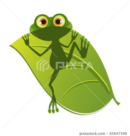 Illustration of a frog on a leaf 83647399