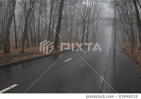 Autumn landscape with fog Autumn landscape with fog 83648018