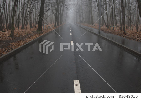 Autumn landscape with fog 83648019