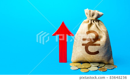 Ukrainian hryvnia money bag with red arrow up. Recover financial system after crisis. Increase in profitability and prosperity, higher living standards. Budget growth. Raising taxes. Deposit interest. 83648236
