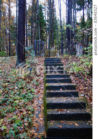 [Gunma] Autumn Lockheart Castle in the park where the autumn leaves are advancing 83648327