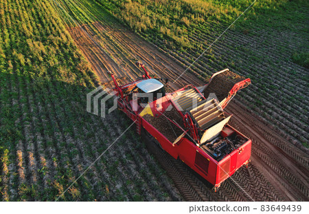 Aerial view of the Potato Harvester at Seasonal harvesting of potatoes from field. Aerial view of the Potato Harvester at Seasonal harvesting of potatoes from field. 83649439