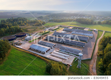 Farm building with cows and pigs in the village, aerial view. Farm building with cows and pigs in the village, aerial view. 83649455