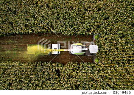 Forage harvester on maize cutting for silage in field. Forage harvester on maize cutting for silage in field. 83649456