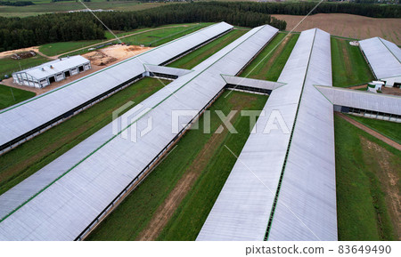 Farm building with cows and pigs in the village, aerial view.  83649490