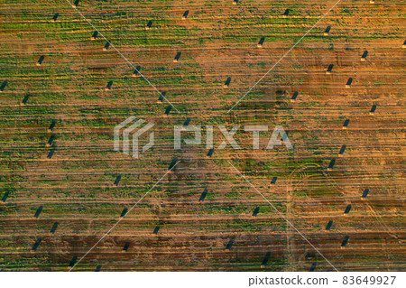 Haystack in field, top viev. Hay bales from residues grass. Haystack in field, top viev. Hay bales from residues grass. 83649927