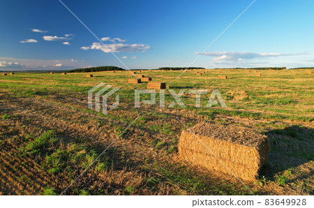 Haystack on field on blue sky background. Hay bale  83649928