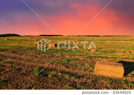 Haystack on field on blue sky background. Hay bale from residues grass. Hay stack for agriculture. Haystack on field on blue sky background. Hay bale from residues grass. Hay stack for agriculture. 83649929
