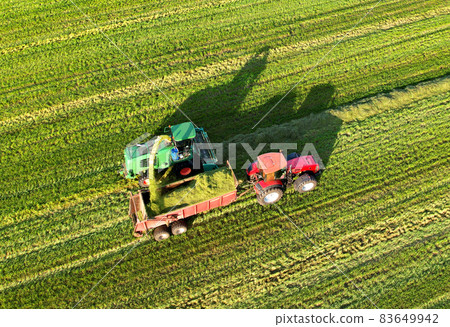 Forage harvester during grass cutting for silage in field. 83649942