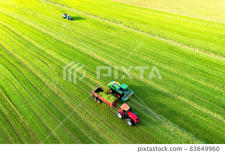 Forage harvester during grass cutting for silage in field.  83649960