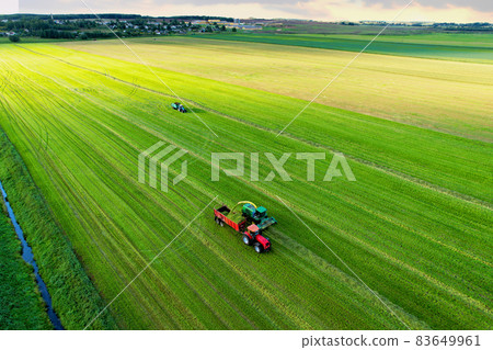 Forage harvester during grass cutting for silage in field. Forage harvester during grass cutting for silage in field. 83649961