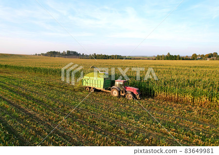 Tractor with a trailer transports corn from the field.  83649981