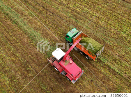 Forage harvester during grass cutting for silage in field. 83650001