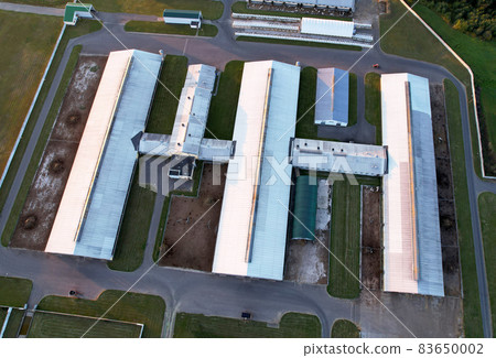 Farm with cows and pigs in the village, aerial view.  83650002