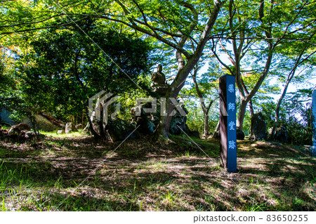 松島大島藥師堂遺址 松島大島藥師堂遺址 83650255