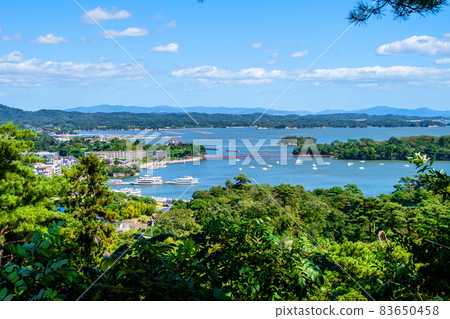 從日本遺產松島公園眺望松島灣 從日本遺產松島公園眺望松島灣 83650458