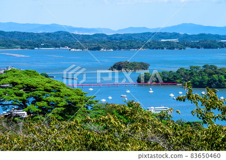 Japan Heritage Matsushima Westbound Matsu Park From Scenic overlook Shiroi Kannon Observatory Fukuurajima and Okinashima 83650460