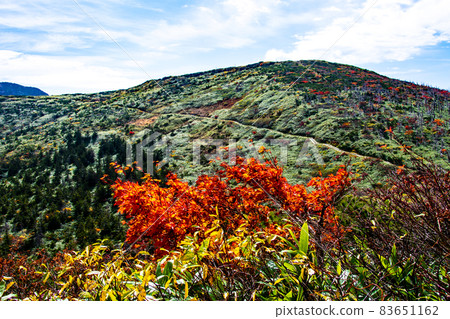 Zao mountain range Yamagata Zao Autumn leaves Sanpokojinsan mountain trail and Mt. Jizo Zao mountain range Yamagata Zao Autumn leaves Sanpokojinsan mountain trail and Mt. Jizo 83651162