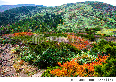 Zao mountain range Yamagata Zao Autumn leaves Sanpokojinsan mountain trail and Mt. Jizo 83651163