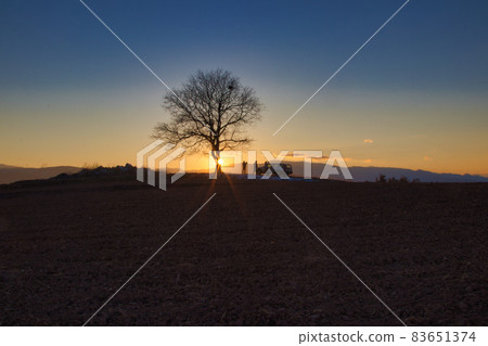 Evening view of Ipponki 83651374