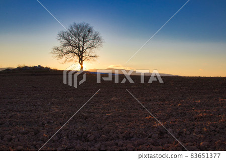 Evening view of Ipponki 83651377