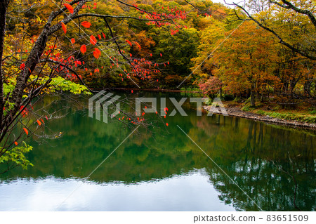 藏王山脈山形藏王中央高原湖邊秋葉和水鏡 83651509