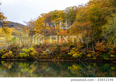 藏王山脈山形藏王中央高原湖邊秋葉和水鏡 83651549