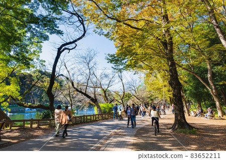 Inokashira Park, a sunny autumn holiday Inokashira Park, a sunny autumn holiday 83652211