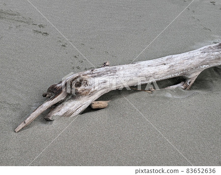 Stock Photos: Driftwood standing in a sandbox on the beach 1 83652636