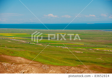 Qinghai Lake, Qinghai Province, China The largest saltwater lake in China Landscape, scenery, sky, blue sky, clouds, fine weather, white clouds, lakes, salt lakes, saltwater lakes, the largest in China 83652814
