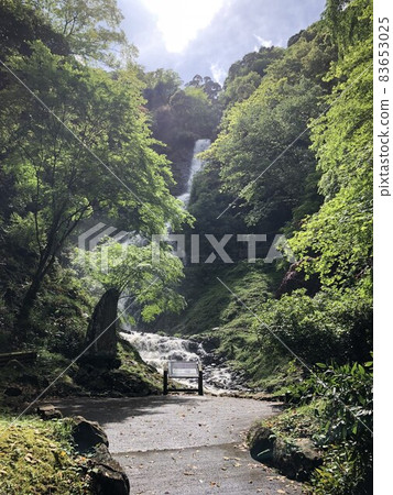 靜岡縣伊豆市小平的朝日瀑布 83653025