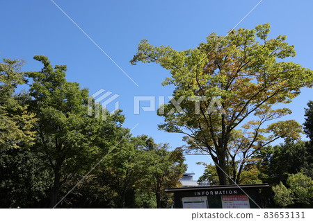 埼玉縣熊谷市熊谷體育文化公園 83653131