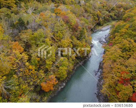 Aerial view Autumn leaves in the Saru River valley (Hidaka, Hokkaido) Aerial view Autumn leaves in the Saru River valley (Hidaka, Hokkaido) 83653680