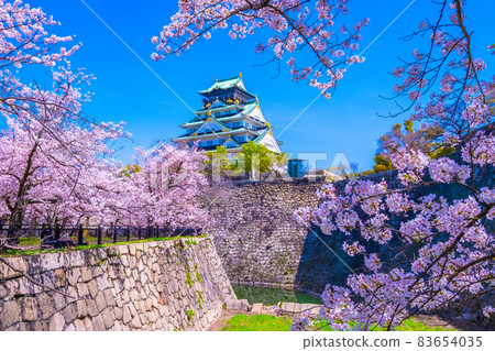 Sakura in Osaka Castle and Nishinomaru Garden 83654035