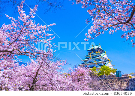 Sakura in Osaka Castle and Nishinomaru Garden 83654039