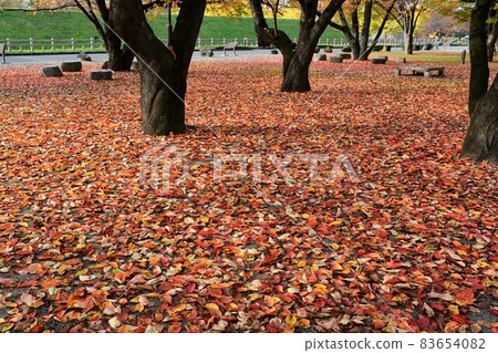 山形加城公園山形城舊西青館 山形加城公園山形城舊西青館 83654082