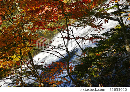 日光湯本之湯 日光湯本之湯 83655020