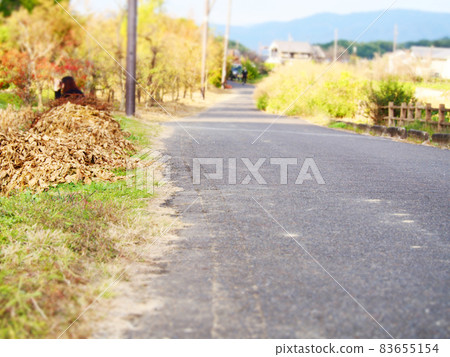 Nostalgic country road Nostalgic country road 83655154