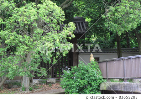 7D東招大寺2018旅遊第21部分 83655295